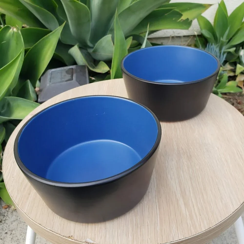 NEW Stone Lain 2 Bowls Stoneware Dinnerware Set Blue and Black Dishwasher and Mi
